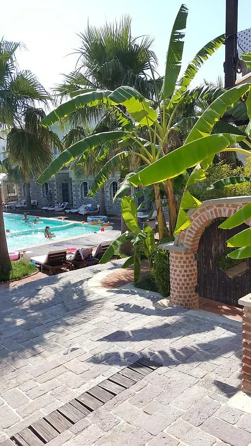 Guest house Hotel Sarajet E Pashait 1 Dhermi